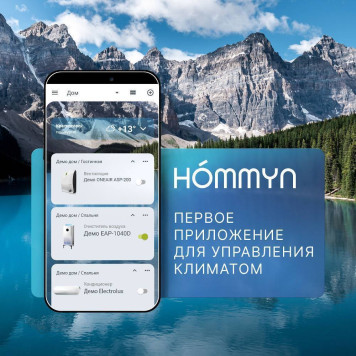 Hommyn Hub HH-01-4