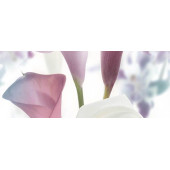 Dec Sano Panno B 20х50