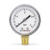 Манометр VARMEGA радиальный 50 мм, 4 бар, 1/4, VMMT10-500402