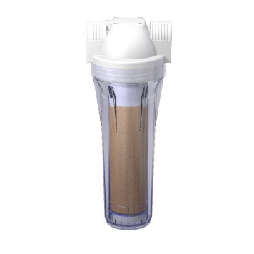 Thermex ION SL10″-1