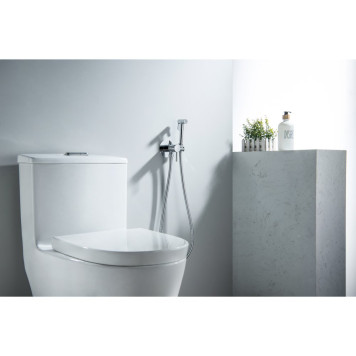 AQ1021CR ЕВРОПА комплект для гигиенического душа встроенный (смеситель + гигиеническая лейка + шланг) AQ1021CR-4