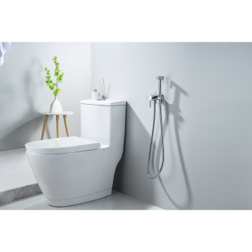 AQ1021CR ЕВРОПА комплект для гигиенического душа встроенный (смеситель + гигиеническая лейка + шланг) AQ1021CR-5