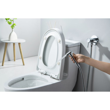 AQ1021CR ЕВРОПА комплект для гигиенического душа встроенный (смеситель + гигиеническая лейка + шланг) AQ1021CR-6