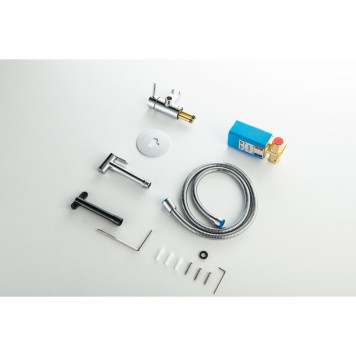 AQ1021CR ЕВРОПА комплект для гигиенического душа встроенный (смеситель + гигиеническая лейка + шланг) AQ1021CR-10