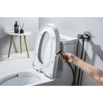 AQ1021BGM ЕВРОПА комплект для гигиенического душа встроенный (смеситель + гигиеническая лейка + шланг), оружейная сталь (шлиф. черный хром) AQ1021BGM-4