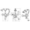 Boheme Tradizionale Nero Смеситель для ванны с душем на стену, цвет: золото 253