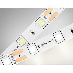 Лента светодиодная Ambrella Light GS GS1002