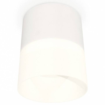 Накладной светильник Ambrella Light XS XS8110002