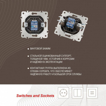 Розетка Ethernet RJ-45 без рамки Arte Milano am-203 203.45-1.shampan-5