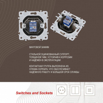 Розетка Ethernet RJ-45 без рамки Arte Milano am-206 206.45-1.shampan-3