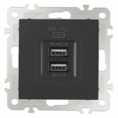 Розетка USB, без рамки Arte Milano am-206 206.46-1.black