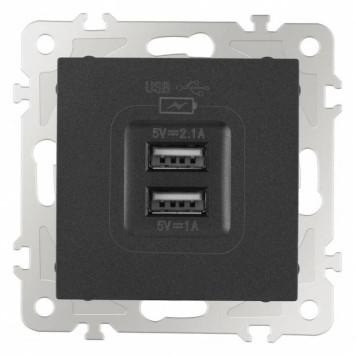 Розетка USB, без рамки Arte Milano am-206 206.46-1.black