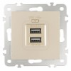 Розетка USB, без рамки Arte Milano am-206 206.46-1.shampan