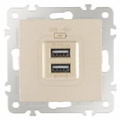 Розетка USB, без рамки Arte Milano am-206 206.46-1.shampan