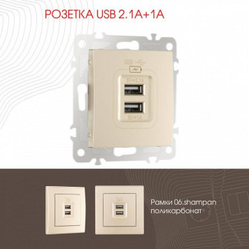 Розетка USB, без рамки Arte Milano am-206 206.46-1.shampan-1