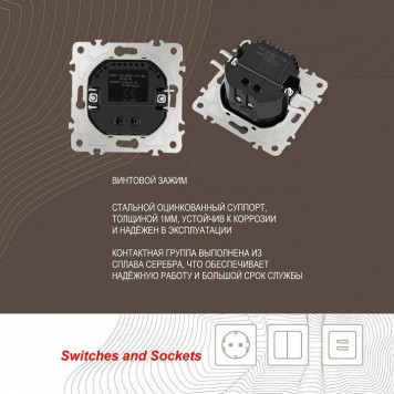 Розетка USB, без рамки Arte Milano am-206 206.46-1.shampan-3