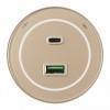 Розетка USB и type C на треке Arte Milano Am-track-sockets-39 399732TS/USB-Type-C Gold