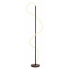 Торшер Arte Lamp Klimt A2850PN-35BK