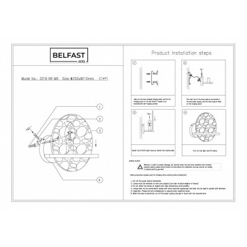 Накладной светильник Belfast Ravenhill 3219 BR MB-4