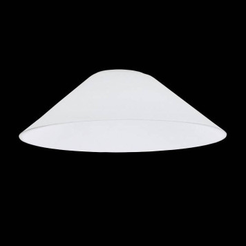 Плафон стеклянный Citilux Эдисон CL450.12-1