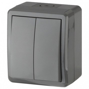 Выключатель двухклавишный Эра Эра Эксперт 11-1404-03