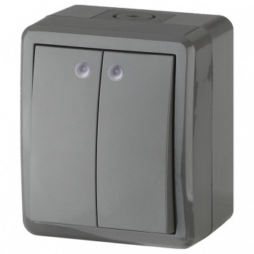 Выключатель двухклавишный с подсветкой Эра Эра Эксперт 11-1405-03