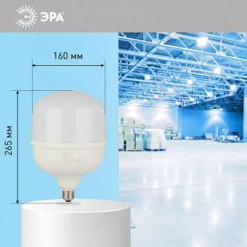 Лампа светодиодная Эра Стандарт LED POWER T160-100W-6500-E27/E40-7