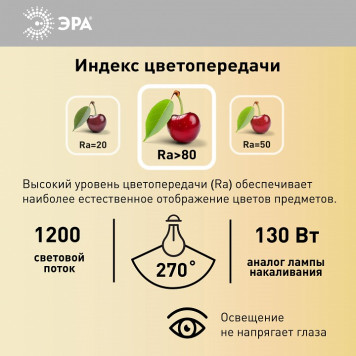 Лампа светодиодная Эра Стандарт LED G95-15W-2700K-E27-5