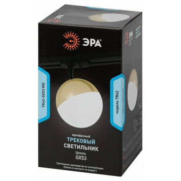Светильник на штанге Эра TR42-GX53 MG-5