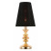Настольная лампа декоративная EVOLUCE Rionfo SL1137.204.01