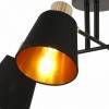 Люстра на штанге ILLUMICO Abelie IL6116-4COU-79 BK GD Abelie