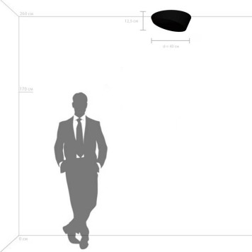 Накладной светильник Lightstar Celesta 809456-2