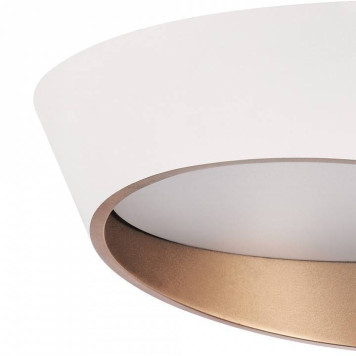 Накладной светильник Lightstar Celesta 809456-7