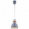 Подвесной светильник Lucia Tucci Industrial INDUSTRIAL 1820.1 SAND SILVER