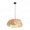 Подвесной светильник Freya Cocoon FR5529PL-01B