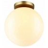 Накладной светильник Odeon Light Bosco 4248/1C