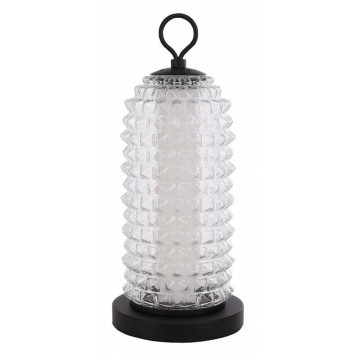 Настольная лампа декоративная ST-Luce SAGUARO SL6144.404.01