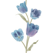 Tulips Frios Панно (из 3-х плиток) 50х75