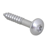 Шуруп Walraven 6x40 мм Torx TX30 BIS RapidRail Шуруп Walraven 6x40 мм Torx TX30 BIS RapidRail