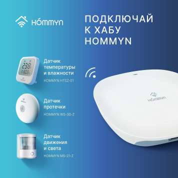 Блок управления (шлюз) Hommyn Hub HH-01-5