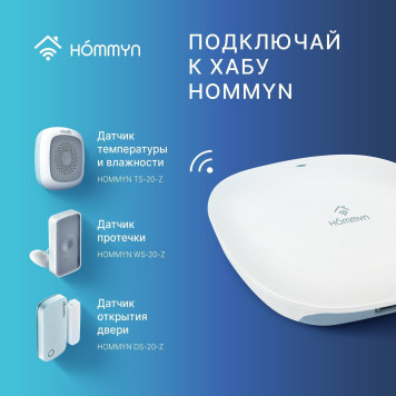 Блок управления (шлюз) Hommyn Hub HH-01-6