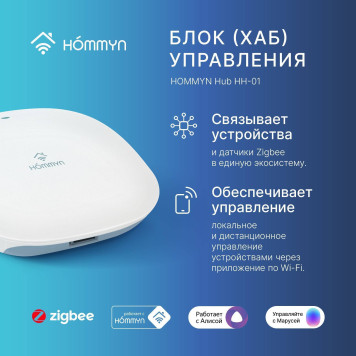 Комплект три умные розетки и хаб HOMMYN SP3HOMKIT07-2
