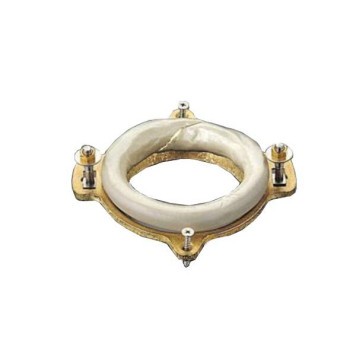 TOTO Neorest Фланец для унитаза CS985VR#NW1-1