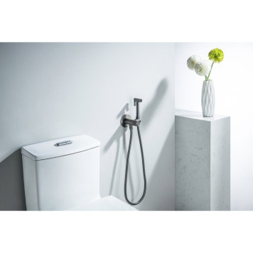 AQ1023BGM БЕТТА комплект для гигиенического душа Select встроенный (смеситель + гигиеническая лейка + шланг), оружейная сталь (шлиф. черный хром) AQ1023BGM-3