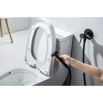 AQ1021MB ЕВРОПА комплект для гигиенического душа встроенный (смеситель + гигиеническая лейка + шланг), матовый черный AQ1021MB-5