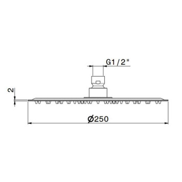 Newform X-STEEL 316 Верхний душ, d25см, без кронштейна, G1/2 , цвет: INOX. 29392X.50.050-1