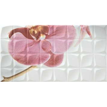 Dec. Orchid A Blanco BLN Декор 31,6x59,34