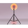 Настольная лампа декоративная Ambrella Light DE DE8387