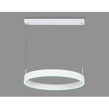 Подвесной светильник Ambrella Light FA FA6605-2