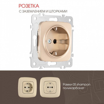Розетка с заземлением и со шторкой, без рамки Arte Milano am-205 205.40-1.shampan-1
